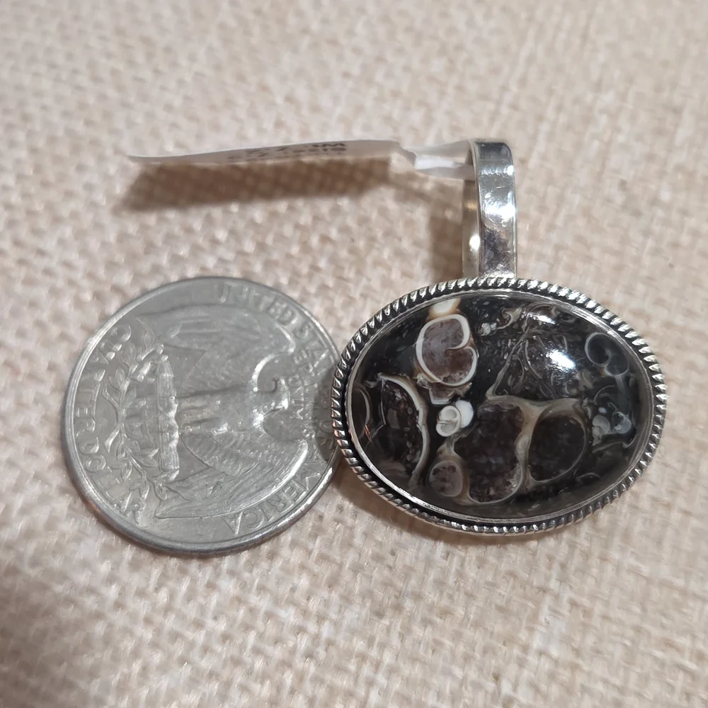 Elegant Silver and Turritella Fossul Pendant Money Clip